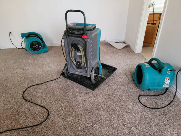 Best Commercial water damage restoration  in Mccamey, TX