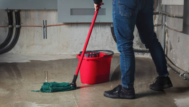 Best Ceiling water damage repair  in Mccamey, TX