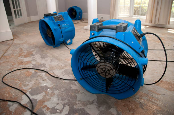Best Water damage restoration near me  in Mccamey, TX