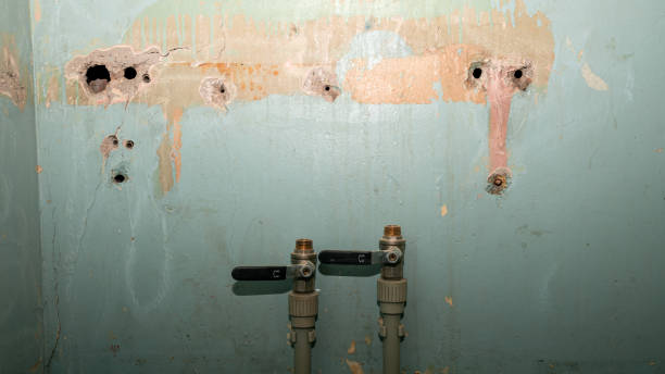 Best Fire Damage Restoration  in Mccamey, TX
