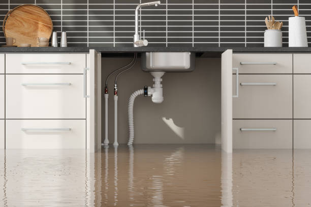  Mccamey, TX Water damage restoration Pros