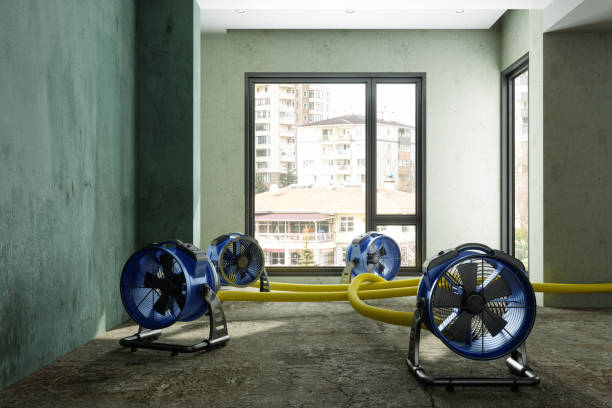 Professional Water damage restoration in TX
